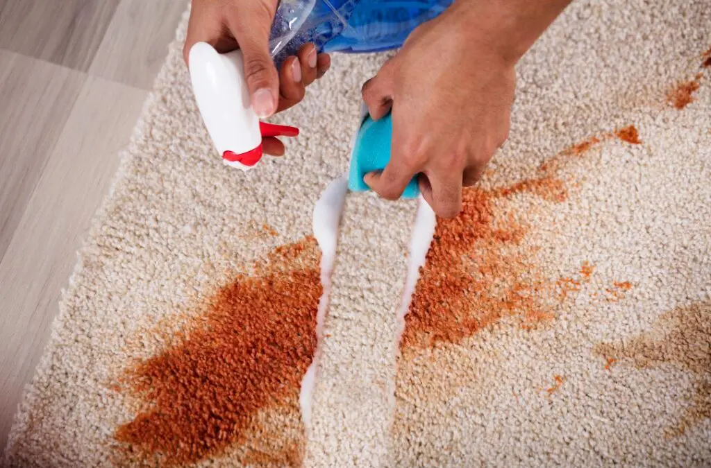 Amazing Rug Stain Remover Tips: Transform Your Carpet Stains Instantly with HD Cleaning Services!