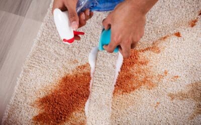 Amazing Rug Stain Remover Tips: Transform Your Carpet Stains Instantly with HD Cleaning Services!