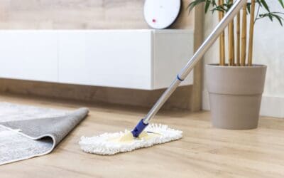 Say Goodbye to Stubborn Stains with The Best Carpet and Wood Floor Cleaning Services