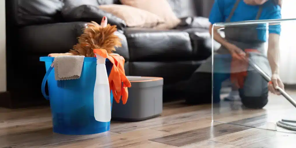 Professional Home Cleaning Services Professional Home Cleaning Services