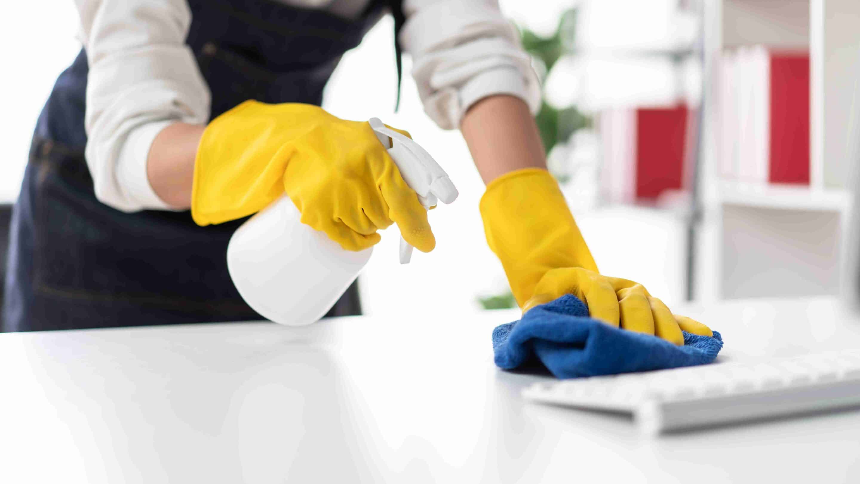 deep clean house cleaning services