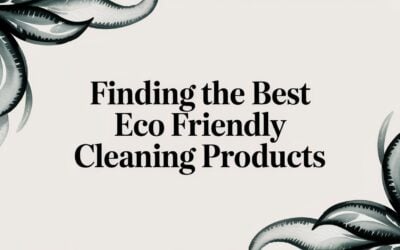 Finding the Best Eco Friendly Cleaning Products